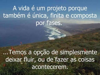 A vida é um projeto porque também é única, finita e composta por fases.  ...Temos a opção de simplesmente deixar fluir, ou de fazer as coisas acontecerem. 