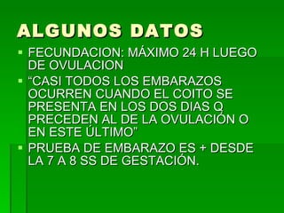 ALGUNOS DATOS FECUNDACION: MÁXIMO 24 H LUEGO DE OVULACION “ CASI TODOS LOS EMBARAZOS OCURREN CUANDO EL COITO SE PRESENTA EN LOS DOS DIAS Q PRECEDEN AL DE LA OVULACIÓN O EN ESTE ÚLTIMO” PRUEBA DE EMBARAZO ES + DESDE LA 7 A 8 SS DE GESTACIÓN. 