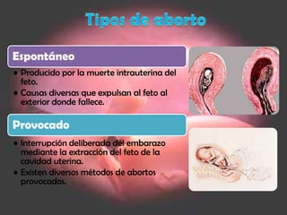 Tipos de aborto