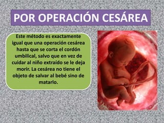 POR OPERACIÓN CESÁREA
  Este método es exactamente
igual que una operación cesárea
   hasta que se corta el cordón
  umbilical, salvo que en vez de
cuidar al niño extraído se le deja
   morir. La cesárea no tiene el
objeto de salvar al bebé sino de
             matarlo.
 