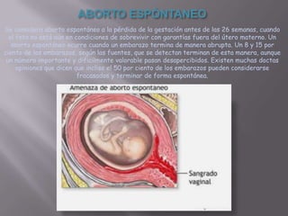 ABORTO ESPÒNTANEO
Se considera aborto espontáneo a la pérdida de la gestación antes de las 26 semanas, cuando
  el feto no está aún en condiciones de sobrevivir con garantías fuera del útero materno. Un
   aborto espontáneo ocurre cuando un embarazo termina de manera abrupta. Un 8 y 15 por
ciento de los embarazos, según las fuentes, que se detectan terminan de esta manera, aunque
 un número importante y dificilmente valorable pasan desapercibidos. Existen muchas doctas
     opiniones que dicen que incliso el 50 por ciento de los embarazos pueden considerarse
                          fracasados y terminar de forma espontánea.
 