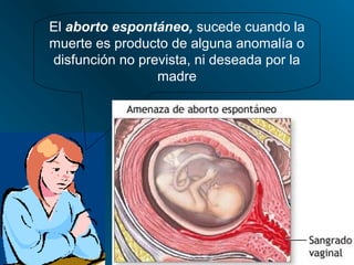 El aborto espontáneo, sucede cuando la
muerte es producto de alguna anomalía o
disfunción no prevista, ni deseada por la
                 madre
 
