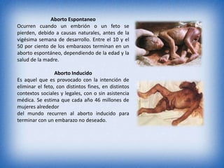 Aborto Espontaneo
Ocurren cuando un embrión o un feto se
pierden, debido a causas naturales, antes de la
vigésima semana de desarrollo. Entre el 10 y el
50 por ciento de los embarazos terminan en un
aborto espontáneo, dependiendo de la edad y la
salud de la madre.
Aborto Inducido
Es aquel que es provocado con la intención de
eliminar el feto, con distintos fines, en distintos
contextos sociales y legales, con o sin asistencia
médica. Se estima que cada año 46 millones de
mujeres alrededor
del mundo recurren al aborto inducido para
terminar con un embarazo no deseado.
 