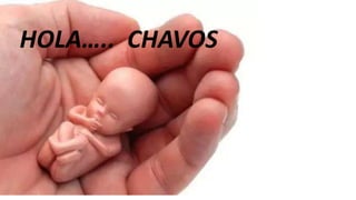 HOLA….. CHAVOS
 