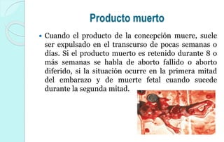 Producto muerto
 Cuando el producto de la concepción muere, suele
ser expulsado en el transcurso de pocas semanas o
días. Si el producto muerto es retenido durante 8 o
más semanas se habla de aborto fallido o aborto
diferido, si la situación ocurre en la primera mitad
del embarazo y de muerte fetal cuando sucede
durante la segunda mitad.
 