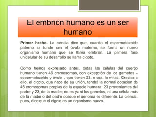 El embrión humano es un ser
humano
Primer hecho. La ciencia dice que, cuando el espermatozoide
paterno se funde con el óvulo materno, se forma un nuevo
organismo humano que se llama embrión. La primera fase
unicelular de su desarrollo se llama cigoto.
Como hemos expresado antes, todas las células del cuerpo
humano tienen 46 cromosomas, con excepción de los gametos –
espermatozoide y óvulo–, que tienen 23, o sea, la mitad. Gracias a
ello, el cigoto, que nace de su unión, tendrá la normal dotación de
46 cromosomas propios de la especie humana: 23 provenientes del
padre y 23, de la madre; no es ya ni los gametos, ni una célula más
de la madre o del padre porque el genoma es diferente. La ciencia,
pues, dice que el cigoto es un organismo nuevo.
 