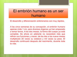 El embrión humano es un ser
humano
El desarrollo y diferenciación embrionarios son muy rápidos.
A las cinco semanas de su concepción, el embrión humano
apenas mide 1 cm, pero diversos órganos ya han empezado
a tomar forma. A los dos meses, la forma del cuerpo ya está
completa. De ahora en adelante no necesitará más que
refinar sus funciones y crecer; de los dos a los nueve meses
multiplicará 20 veces su estatura y mil veces su peso. El
desarrollo continuará después del nacimiento, durante toda
la vida.
 