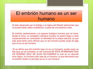 El embrión humano es un ser
humano
El dato observado por el biólogo y la lógica del filósofo testimonian que
no puede haber saltos cualitativos, ni paso de una esencia a otra.
El embrión perteneciente a la especie biológica humana que no fuera,
desde el inicio, un verdadero individuo humano no podría llegar a serlo
sucesivamente sin contradecir la identidad de la propia esencia, ya que
esto sería tanto como afirmar que un ser humano puede surgir de algo
que no es un ser humano:
“Si se afirma que del embrión [que no es un humano], puede surgir un
feto [que ya se considera un ser humano] SE ESTÁ AFIRMANDO QUE
UN HUMANO SALE DE ALGO NO-HUMANO lo cual es un absurdo
error lógico. Un humano sólo sale de un humano, lo que demuestra que
el embrión desde un principio ya es un ser humano.”
 