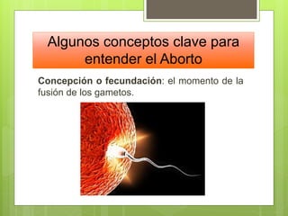 Algunos conceptos clave para
entender el Aborto
Concepción o fecundación: el momento de la
fusión de los gametos.
 