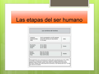 Las etapas del ser humano
 