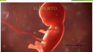 EL ABORTO
CRISTIAN GALINDO 10-03
 