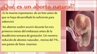 ¿Qué es un aborto natural?
-Es la muerte espontanea deunfeto antes de
quese haya desarrollado losuficiente para
sobrevivir
-los abortos suelen ocurrir durante los tres
primeros meses del embarazo antes de la
duodécimosemana de gestación. Un numero
reducidode abortos naturales , menosdel1% ,
son partos de fetos muertos.
 