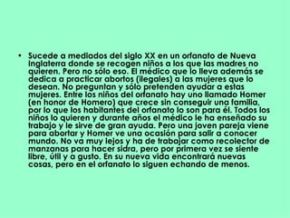 Sucede a mediados del siglo XX en un orfanato de Nueva Inglaterra donde se recogen niños a los que las madres no quieren. Pero no sólo eso. El médico que lo lleva además se dedica a practicar abortos (ilegales) a las mujeres que lo desean. No preguntan y sólo pretenden ayudar a estas mujeres. Entre los niños del orfanato hay uno llamado Homer (en honor de Homero) que crece sin conseguir una familia, por lo que los habitantes del orfanato lo son para él. Todos los niños lo quieren y durante años el médico le ha enseñado su trabajo y le sirve de gran ayuda. Pero una joven pareja viene para abortar y Homer ve una ocasión para salir a conocer mundo. No va muy lejos y ha de trabajar como recolector de manzanas para hacer sidra, pero por primera vez se siente libre, útil y a gusto. En su nueva vida encontrará nuevas cosas, pero en el orfanato lo siguen echando de menos.  