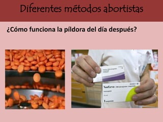 Diferentes métodos abortistas
¿Cómo funciona la píldora del día después?
 