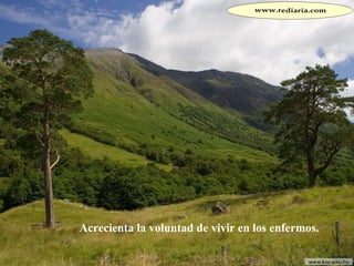 Acrecienta la voluntad de vivir en los enfermos.  