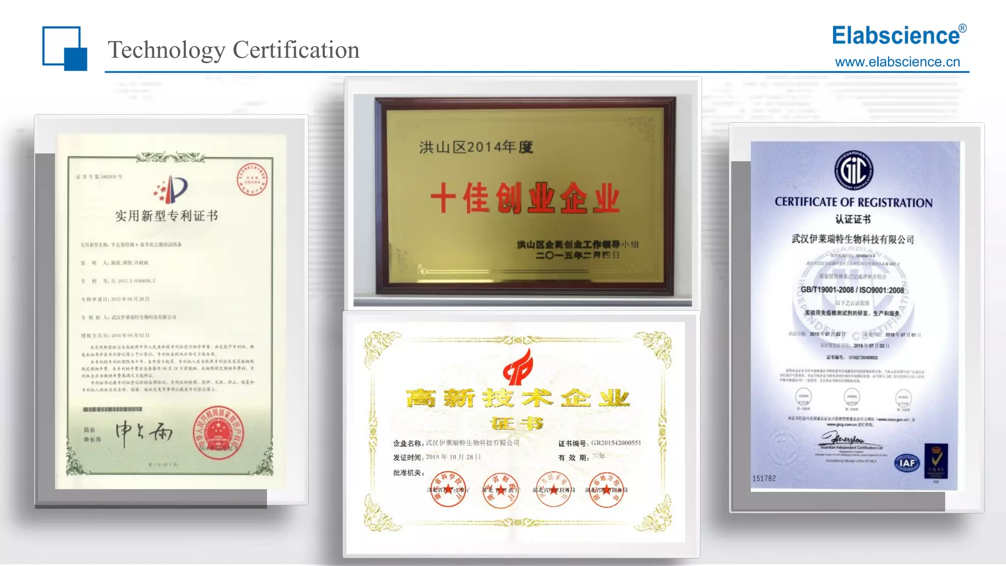 www.elabscience.cn
Technology Certification
 