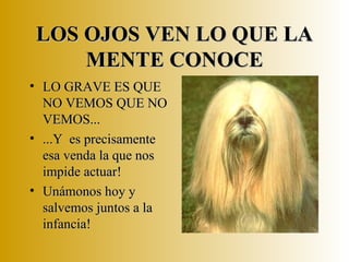 LOS OJOS VEN LO QUE LA MENTE CONOCE LO GRAVE ES QUE NO VEMOS QUE NO VEMOS... ...Y  es precisamente esa venda la que nos impide actuar! Unámonos hoy y salvemos juntos a la infancia! 