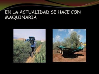 EN LA ACTUALIDAD SE HACE CON
MAQUINARIA
 