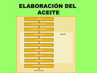 ELABORACIÓN DEL  ACEITE 