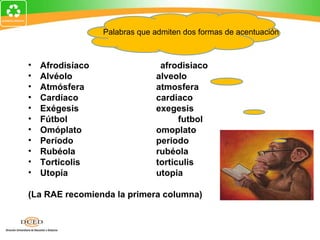 Palabras que admiten dos formas de acentuación



•   Afrodisíaco                 afrodisiaco
•   Alvéolo                    alveolo
•   Atmósfera                  atmosfera
•   Cardíaco                   cardiaco
•   Exégesis                   exegesis
•   Fútbol                           futbol
•   Omóplato                   omoplato
•   Período                    periodo
•   Rubéola                    rubéola
•   Tortícolis                 torticulis
•   Utopía                     utopia

(La RAE recomienda la primera columna)
 