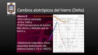 Cambios alotrópicos del hierro (Delta)
 