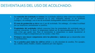 DESVENTAJAS DEL USO DE ACOLCHADO:
1. La remoción del acolchado es costoso; los acolchados plásticos debe removerse anualmente
y esto es costoso, por el momento no es muy redituable además, es un problema
ecológico, sin embargo, con el uso de acolchado biodegradable deberá solucionar esto.
2. El costo de producción se eleva con el uso de acolchado. Sin embargo, al evaluar la utilidad
por sus beneficios, normalmente se justifica.
3. Propiedades del acolchado; deberá conocerse bien las propiedades del acolchado para su
correcta colocación. Es decir, la temperatura deberá ser de aproximadamente de 18 a 30°C
para evitar que quede muy flojo al incrementar la temperatura se puede desenterrar al
contraerse al bajar la temperatura por las noches o días fríos.
4. Promueve una mayor competencia entre las plántulas y malezas que se desarrollan entre
las perforaciones.
5. No es práctico para todos los cultivos debido a su alta densidad de siembra. Por ejemplo;
ajo, cebolla, nabos, betabel, cilantro, zanahoria por citar algunos.
 