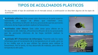TIPOS DE ACOLCHADOS PLÁSTICOS
Es muy variado el tipo de acolchado en el mercado actual, a continuación se describen algunos de los tipos de
acolchados:
Acolchado reflectivo: Este posee color aluminio en la parte superior
reduciendo el ataque de áfidos que trasmiten virus.
Además, eficientiza la difusión de la luz provocando que las porciones
inferiores de las hojas también realicen la fotosíntesis.
Acolchados color blanco: Este color tiene poco efecto en la
temperatura del. Además, eficientiza la difusión de la luz provocando
que las porciones inferiores de las hojas también realicen la
fotosíntesis.
Acolchado IRT (Transmisor de infrarrojos): Trasmite solo los rayos
infrarrojos para el incremento de la temperatura en el suelo, pero no
la luz visible que es la que utilizan las plantas para realizar la
fotosíntesis. Por lo tanto, no hay desarrollo de malezas, pero eleva la
temperatura del suelo.
 