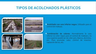 TIPOS DE ACOLCHADOS PLÁSTICOS
Acolchado con cara inferior negra: Utilizado para el
control de malezas.
Combinación de colores: Normalmente la cara
inferior es color negro para el control de malezas y la
cara superior puede ser de color gris, blanco, aluminio,
etc. Para acumular calor, control de insectos,
captación de luz, etc.
 