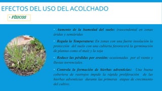 EFECTOS DEL USO DEL ACOLCHADO
 Aumento de la humedad del suelo: trascendental en zonas
áridas y semiáridas
 Regula la Temperatura: En zonas con una fuerte insolación la
protección del suelo con una cubierta favorecerá la germinación
de plantas como el maíz y la soja
 Reduce las pérdidas por erosión: ocasionadas por el viento y
lluvias torrenciales.
 Controla la formación de hierbas adventicias: Una buena
cobertera de rastrojos impide la rápida proliferación de las
hierbas adventicias durante las primeras etapas de crecimiento
del cultivo.
 