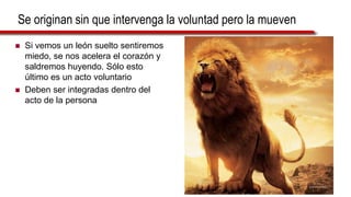 Se originan sin que intervenga la voluntad pero la mueven
 Si vemos un león suelto sentiremos
miedo, se nos acelera el corazón y
saldremos huyendo. Sólo esto
último es un acto voluntario
 Deben ser integradas dentro del
acto de la persona
 