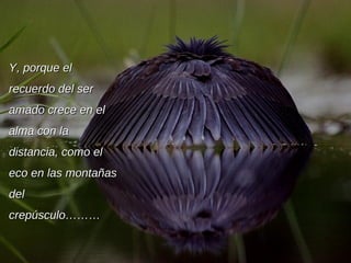 Y, porque el recuerdo del ser amado crece en el alma con la distancia, como el eco en las montañas del crepúsculo……… 