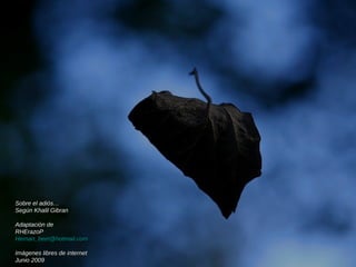 Sobre el adiós… Según Khalil Gibran Adaptación de  RHErazoP [email_address] Imágenes libres de internet Junio 2009 