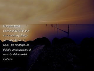 El pájaro besa suavemente la flor por un momento y, luego se confunde con el cielo;  sin embargo, ha dejado en los pétalos el corazón del fruto del mañana. 