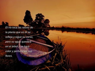 El río toca las raíces de la planta que en él se refleja y sigue su curso, pero su agua quedará en el árbol y se hará color y perfume en sus flores. 