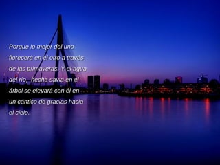 Porque lo mejor del uno florecerá en el otro a través de las primaveras. Y el agua del río,  hecha savia en el árbol se elevará con él en un cántico de gracias hacia el cielo. 