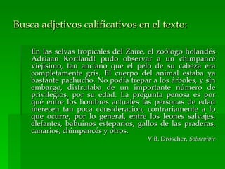 Busca adjetivos calificativos en el texto:

    En las selvas tropicales del Zaire, el zoólogo holandés
    Adriaan Kortlandt pudo observar a un chimpancé
    viejísimo, tan anciano que el pelo de su cabeza era
    completamente gris. El cuerpo del animal estaba ya
    bastante pachucho. No podía trepar a los árboles, y sin
    embargo, disfrutaba de un importante número de
    privilegios, por su edad. La pregunta penosa es por
    qué entre los hombres actuales las personas de edad
    merecen tan poca consideración, contrariamente a lo
    que ocurre, por lo general, entre los leones salvajes,
    elefantes, babuinos esteparios, gallos de las praderas,
    canarios, chimpancés y otros.
                                      V.B. Dröscher, Sobrevivir
 