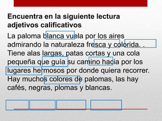 Encuentra en la siguiente lectura
adjetivos calificativos
La paloma blanca vuela por los aires
admirando la naturaleza fresca y colorida. .
Tiene alas largas, patas cortas y una cola
pequeña que guía su camino hacia por los
lugares hermosos por donde quiera recorrer.
Hay muchos colores de palomas, las hay
cafés, negras, plomas y blancas.
 
