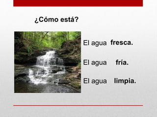 ¿Cómo está?
El agua fresca.
El agua fría.
El agua limpia.
 