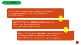 No tienen género propio, sino que lo toman del sustantivo
con el que concuerdan. Hay dos clases de adjetivos,
atendiendo al género:
ADJETIVOS DE UNA TERMINACIÓN: Tienen una
misma forma para los dos géneros:
Azul, alegre, brve, común, policial.
ADJETIVOS DE DOS TERMINACIONES: Son aquellos
que diferencian el género mediante terminaciones:
Bonito/ bonita; español/ española; chiquitín/ chiquitina.
EL GÉNERO
 