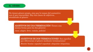 No tienen género propio, sino que lo toman del sustantivo
con el que concuerdan. Hay dos clases de adjetivos,
atendiendo al género:
ADJETIVOS DE UNA TERMINACIÓN: Tienen una
misma forma para los dos géneros:
Azul, alegre, brve, común, policial.
ADJETIVOS DE DOS TERMINACIONES: Son aquellos
que diferencian el género mediante terminaciones:
Bonito/ bonita; español/ española; chiquitín/ chiquitina.
EL GÉNERO
 
