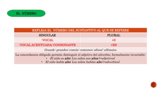 REFLEJA EL NÚMERO DEL SUSTANTIVO AL QUE SE REFIERE
SINGULAR PLURAL
-VOCAL +S
-VOCAL ACENTUADA/ CONSONANTE +ES
Grande: grandes; común: comunes; afonsí: alfonsíes.
La concordancia obligada permite distinguir el adjetivo del adverbio, formalmente invariable:
• El niño es alto/ Los niños son altos (=adjetivos)
• El niño habla alto/ Los niños hablan alto (=adverbios)
EL NÚMERO
 