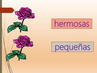 hermosas
pequeñas
 