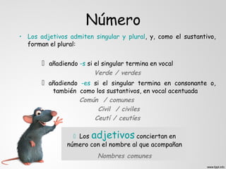 Número
• Los adjetivos admiten singular y plural, y, como el sustantivo,
  forman el plural:


        añadiendo -s si el singular termina en vocal
                         Verde / verdes
        añadiendo -es si el singular termina en consonante o,
           también como los sustantivos, en vocal acentuada
                   Común / comunes
                         Civil / civiles
                       Ceutí / ceutíes

                  Los  adjetivos     conciertan en
               número con el nombre al que acompañan
                          Nombres comunes
 