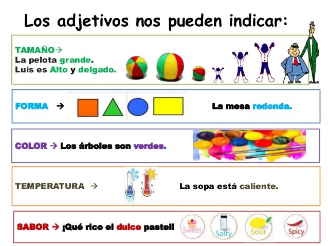 Resultado de imagen de el adjetivo primaria