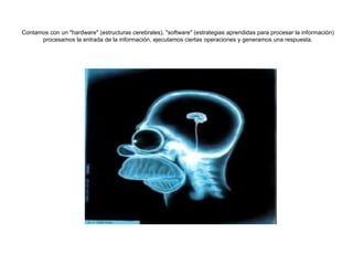 Contamos con un "hardware" (estructuras cerebrales), "software" (estrategias aprendidas para procesar la información) procesamos la entrada de la información, ejecutamos ciertas operaciones y generamos una respuesta. 