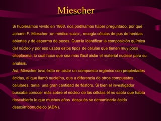 Miescher Si hubiéramos vivido en 1868, nos podríamos haber preguntado, por qué  Johann   F. Miescher -un médico suizo-, recogía células de pus de heridas  abiertas y de   esperma de peces. Quería identificar la composición química  del núcleo y por eso   usaba estos tipos de células que tienen muy poco  citoplasma, lo cual hace que sea   más fácil aislar el material nuclear para su  análisis. Así, Miescher tuvo éxito en aislar un compuesto orgánico con propiedades ácidas, al que llamó nucleína, que a diferencia de otros compuestos  celulares, tenía   una gran cantidad de fósforo. Si bien el investigador  buscaba conocer más sobre el   núcleo de las células él no sabía que había  descubierto lo que muchos años  d espués   se denominaría ácido  desoxirribonucleico (ADN). 