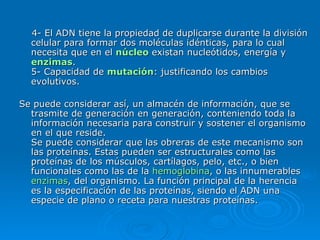 4- El ADN tiene la propiedad de duplicarse durante la división celular para formar dos moléculas idénticas, para lo cual necesita que en el  núcleo  existan nucleótidos, energía y  enzimas . 5- Capacidad de  mutación : justificando los cambios evolutivos. Se puede considerar así, un almacén de información, que se trasmite de generación en generación, conteniendo toda la información necesaria para construir y sostener el organismo en el que reside. Se puede considerar que las obreras de este mecanismo son las proteínas. Estas pueden ser estructurales como las proteínas de los músculos, cartílagos, pelo, etc., o bien funcionales como las de la  hemoglobina , o las innumerables  enzimas , del organismo. La función principal de la herencia es la especificación de las proteínas, siendo el ADN una especie de plano o receta para nuestras proteínas.   