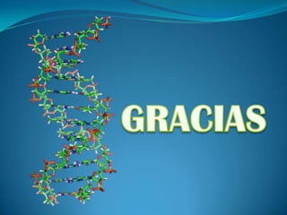 ADN-DNA(ácido desoxirribonucleico)