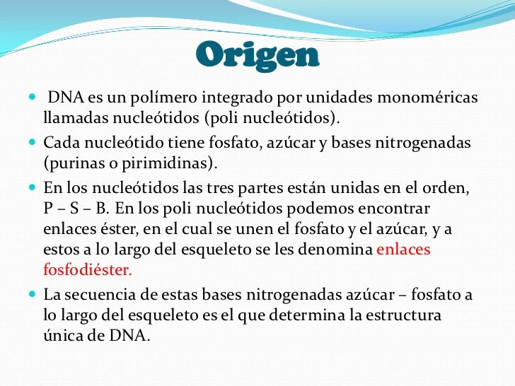 ADN-DNA(ácido desoxirribonucleico) ADN-DNA(ácido desoxirribonucleico)