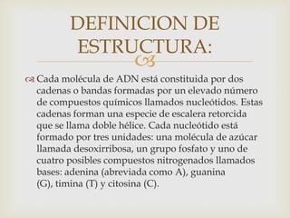 DEFINICION DE
ESTRUCTURA:



 Cada molécula de ADN está constituida por dos
cadenas o bandas formadas por un elevado número
de compuestos químicos llamados nucleótidos. Estas
cadenas forman una especie de escalera retorcida
que se llama doble hélice. Cada nucleótido está
formado por tres unidades: una molécula de azúcar
llamada desoxirribosa, un grupo fosfato y uno de
cuatro posibles compuestos nitrogenados llamados
bases: adenina (abreviada como A), guanina
(G), timina (T) y citosina (C).

 